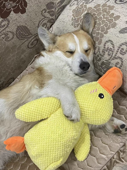 The Yellow Calming Duck: A Dog's New Best Friend by Helicorp